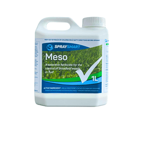 Meso - Image 2