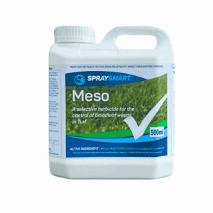 Meso