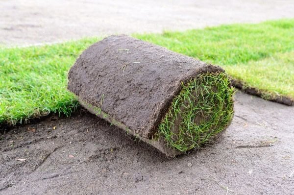 Instant Lawn