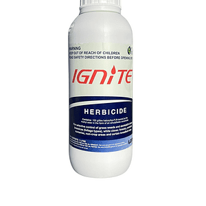 Ignite 1L