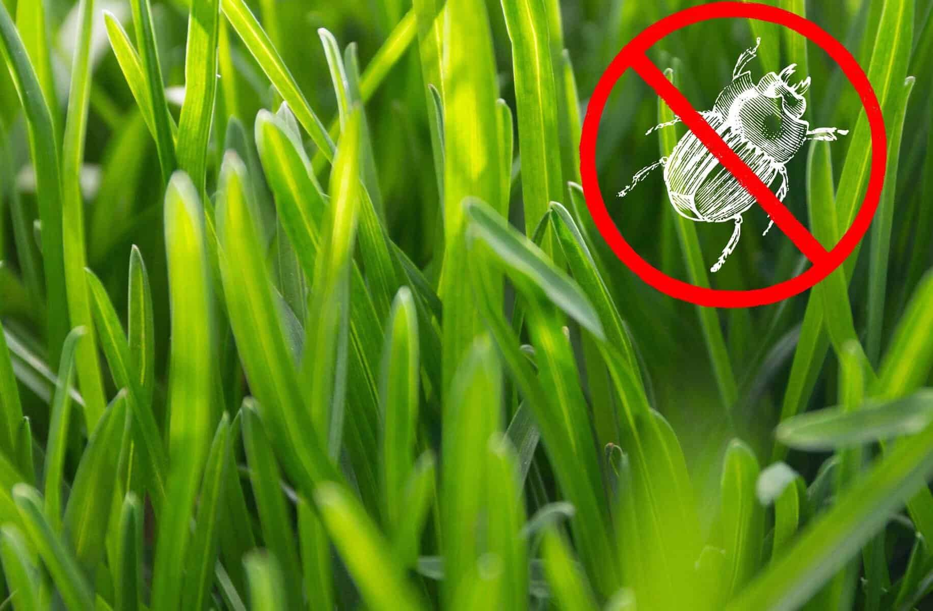 &nbsp;
