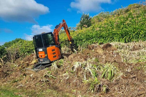 Grounds-Vegetation-Maintenance-Vegetation-Control-3