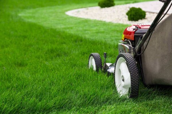 Instant-Lawn-After-Care-Mowing Instant-Lawn-After-Care-Mowing