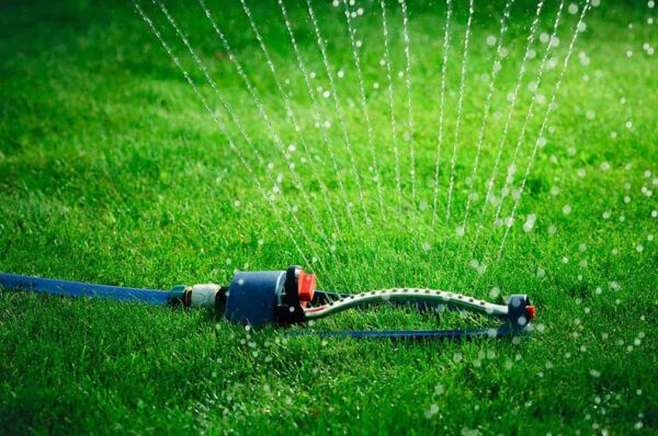 Instant-Lawn-Care-Guide-Watering