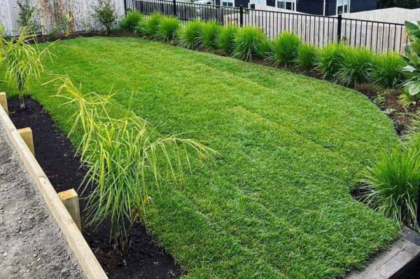 Instant-lawn Instant-lawn