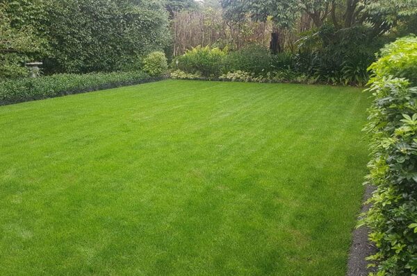 Lawn-Establishment-Services Lawn-Establishment-Services
