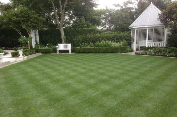 Lawn-Maintenance-Programme Lawn-Maintenance-Programme