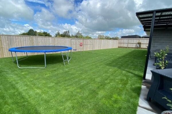 Lawn-Maintenance-Services Lawn-Maintenance-Services