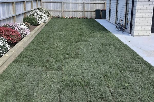 Preparation-Installation-Laying-Your-Instant-Lawn-2nd-photo-1 Preparation-Installation-Laying-Your-Instant-Lawn-2nd-photo-1