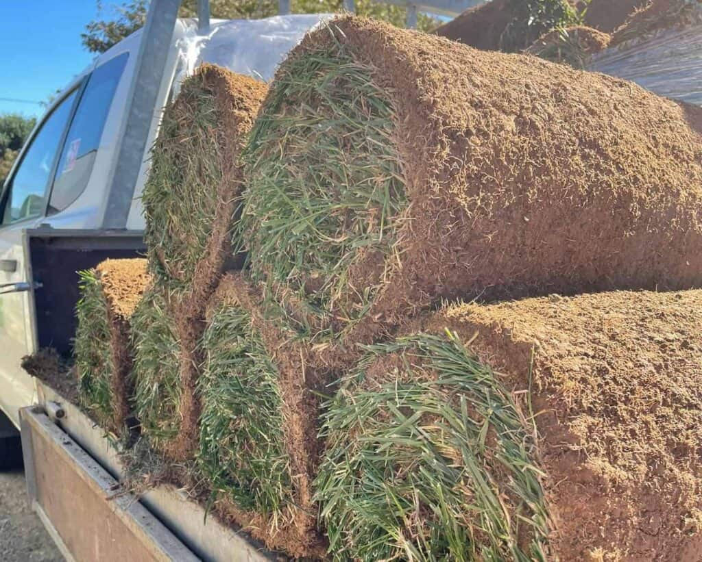 Turf-pickup-1