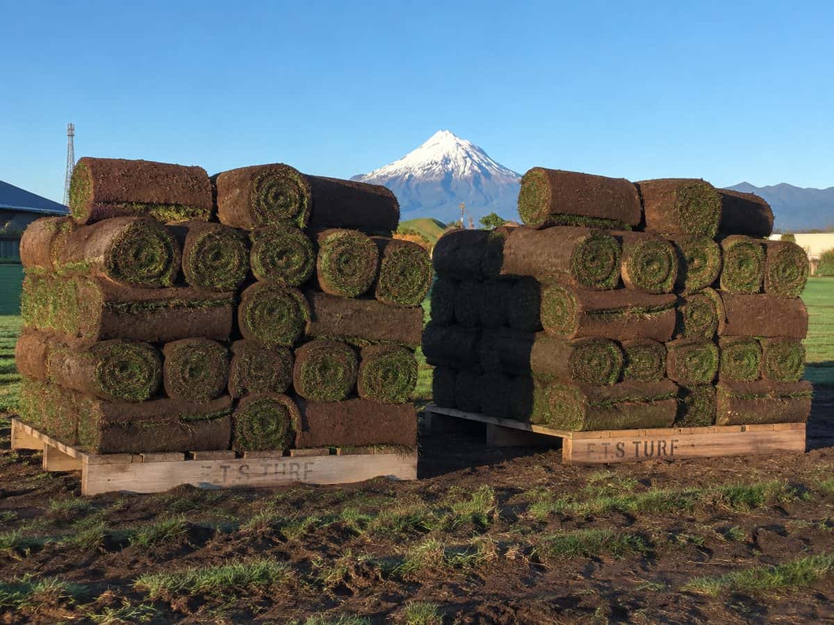 grass-rolls-taranaki-web