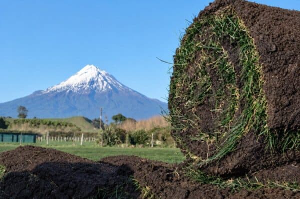 turf_roll_and_mount_taranaki-web turf_roll_and_mount_taranaki-web
